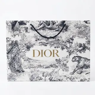 Подарунковий пакет Dior Toile de Jouy I Преміальний паперовий пакет Діор для взуття, сумок, парфумів та подарунків